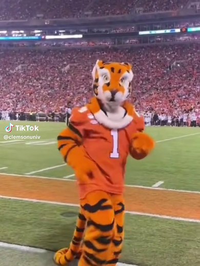 Our favorite mascot 🐅 #clemson #clemsontiger #clemsonfb