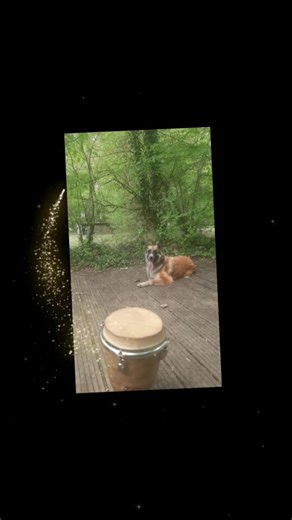 Vidéos de mik (@mik55384) avec Djembe Rhythms - Kyle J. Wittlin