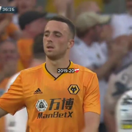 Wolverhampton Wolves 2019-2020 Season Highlights