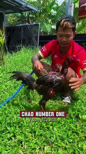 แข้งของเจ้าก็สุดเกิน#เจ้านัมเบอร์วัน