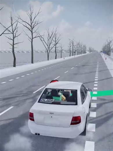 Event Świąteczny w Polish Car Driving