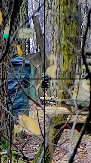 AIRSOFT SNIPER #airsoft #airsoftsniper