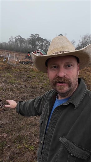 Regenerative Farming really just breaks down to where you put the poop of your animals. When you routinely move it with intentional purpose you are starting to understand regeneration. #regenerativeagriculture #homestead #homesteading #regenerativefarming