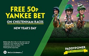 Paddy Power free bet offer: Have a Yankee on us this New Year's Day