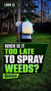 Is Fall Weed Control Over Yet? #lawn