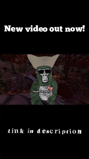 Watch my new introduction video now!