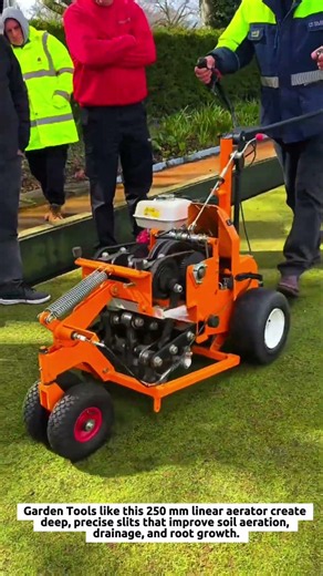 Linear Turf Aeration Tools with 250 mm Blades for Healthier Grass