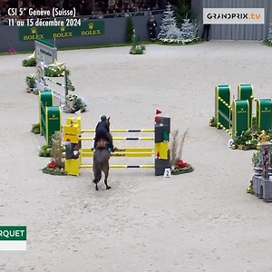 Hier à Genève, Giulia Martinengo Marquet a accompli la plus belle prouesse de sa carrière de cavalière de saut d’obstacles, en se classant deuxième du Grand Prix Rolex du CHI de Genève, dernière levée du Rolex Grand Slam of Show Jumping en 2024. Associée à Delta del’isle, elle a signé un superbe double sans-faute, qui a suscité l’admiration du public. L’Italienne raconte ce dimanche de rêve, mais aussi le passé, le présent et le futur de son génial représentant du Stud-Book Selle Français. | Gra