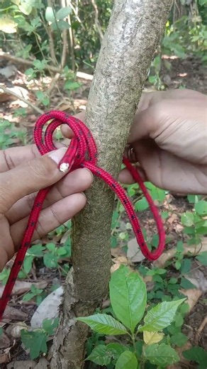 Master This Powerful Binding Knot ✅