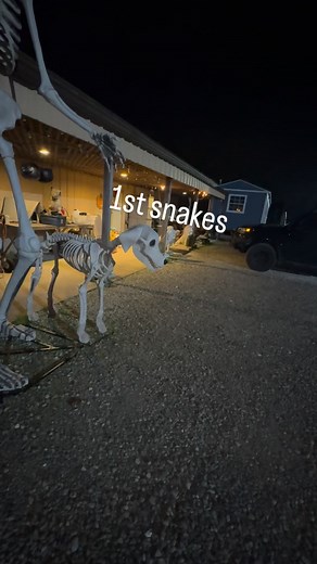 79 reactions · 12 comments | 1st snakes in new building. | Special Operations Equipment | Facebook