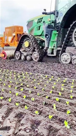 How Smart Farming isTransforming Small Scale Farm #agriculturaltechnology#agriculture2025#harvesting