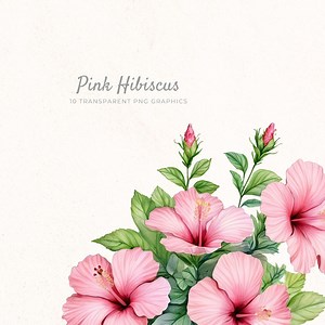 Watercolor Pink Hibiscus Graphics, Tropical Floral Clipart Set, Instant Digital Download, Hibiscus Flower Illustrations, HIB002 - Etsy