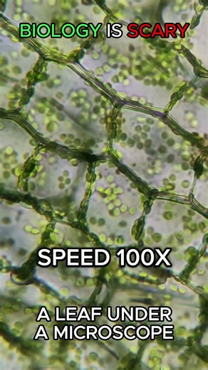 Actually fascinating #shorts #science #ytshorts