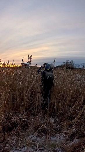 ☺️☺️☺️☺️ #viksfjord #larvik @norway2day | Norwegian_pics_nature