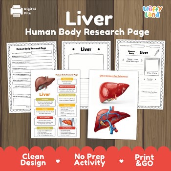 Liver Human Body Research Project Biology Science Worksheet and Anatomy Activity