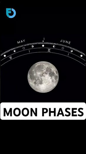 Moon Phases | By Facts Orbit #moon ,moon phases,moon calendar,lunar calendar #mooncalendar #moonset