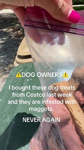 Costco dog treats infested with maggots — what to do