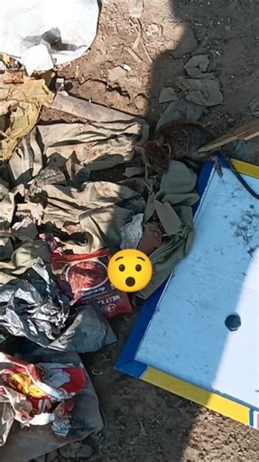 Rat Glue😯Pad Trap