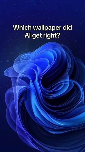 Weirdly accurate #Windows #Bliss #Bloom | Window Screens