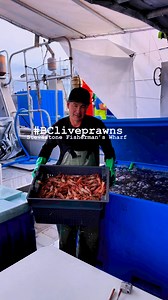 14 reactions · 3 comments | BC Live spot prawns #PinoyInCanada #filipino | Christopher Torda | Facebook