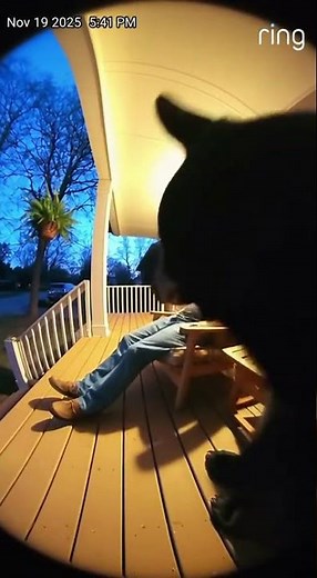 Man Wakes Up Next To A Bear