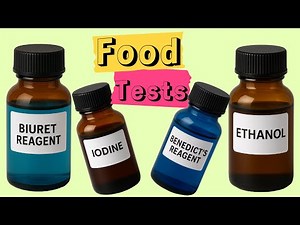 GCSE Biology Food Tests