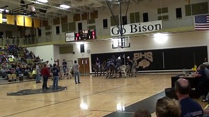 48K views · 503 reactions | Indoor donkey baseball fail | Funny Videos | Facebook