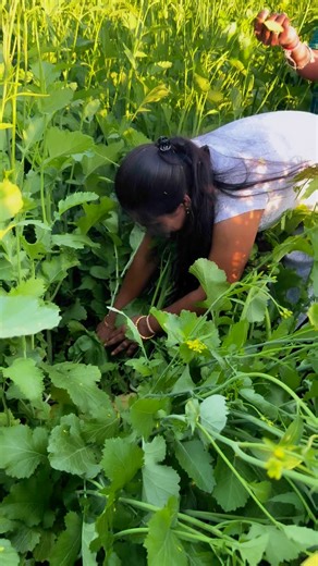 👸𝐃𝐀𝐑𝐈𝐘𝐀🕊 on Instagram