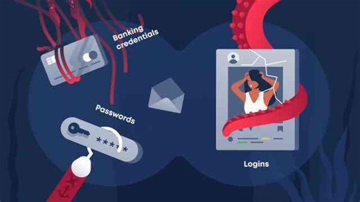 What happens when creationism meets science