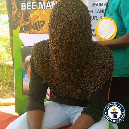 43M views · 5K reactions | Spending an incredible 4 hours 10 minutes and 5 seconds with his head covered in bees, Nature M S from Kerala, India attempted this record to raise awareness of the importance of honey bees and apiculture  | Guinness World Records | Facebook
