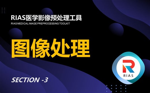 RIAS医学影像预处理工具3 —— dcm2nii图像处理
