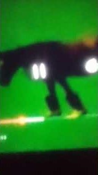 Elmo World Shoes Quiz