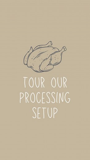 378K views · 6.3K reactions | You guys asked to see our meat chicken...