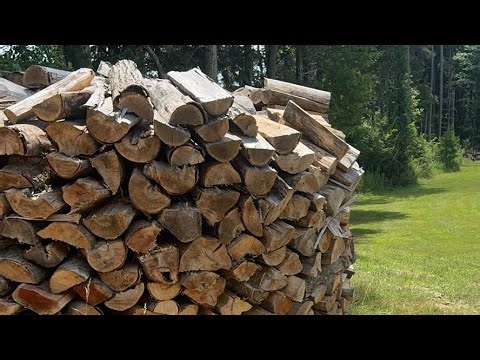 Holz Hausen Firewood Pile