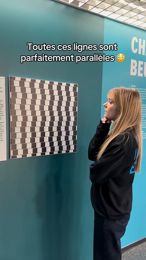 21K views · 497 reactions | T’as compris cette illusion d’optique ?  #opticalillusion #museedelillusion #museumofillusions | Musée de l'Illusion | Facebook