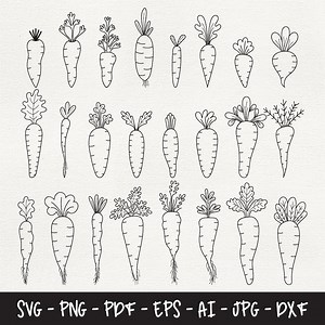 Carrot Clipart Bundle: Vegetable SVG Files for DIY Crafts (digital Download) - Etsy