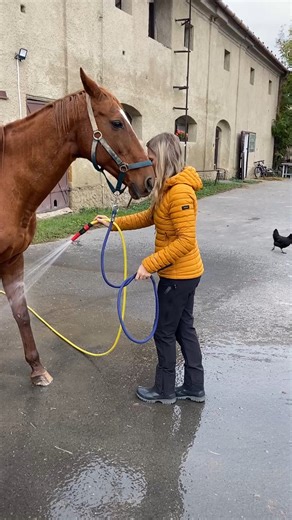 Recenze: Dámské softshellové kalhoty ARDON®CITYCONIC® Dámské softshellové kalhoty ARDON®CITYCONIC® jsme svěřili testerkám, které je prověřily při aktivním pohybu v přírodě i mimo ni. 👉 Co na ně říkají? Podívejte se na jejich zkušenosti, fotky i videa: 🔗 https://1url.cz/fJfd9 | ARDON