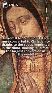 792K views · 453K reactions | 4 miracles of our lady of guadalupe | Family Ministry | Facebook