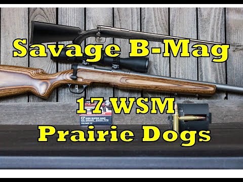 Savage B-Mag 17 WSM Review, Bedding, Prairie Dog Shoot-RGO Ep 50