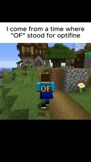 Minecraft in 2014 was peak #minecraft #nostalgia #meme