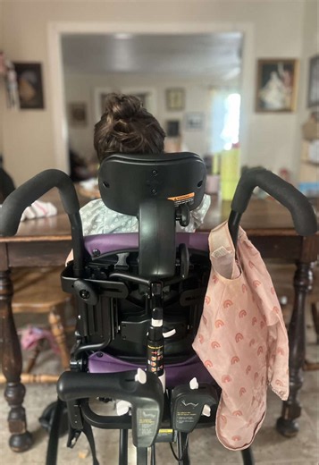 Medical Motherhood Realities: When Plans Meet Medical Needs