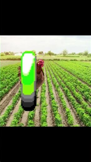 Discord Memes #discordmemes #discordmeme #youtubeshorts #funny #funnymemesthatwillmakeyourday