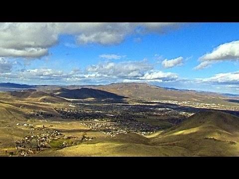 How Did a Grizzly Bear Get on California's Flag?