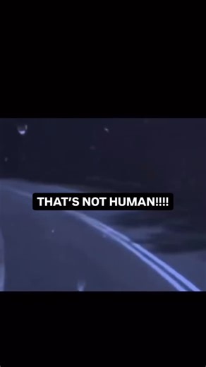 ALYSHIA TRYON on Instagram: "Driving late at night in North Carolina, a witness reported seeing what appeared to be a bleeding man on the side of the road, possibly dressed in a damaged Civil War uniform with what looked like a severe head wound. Moments later the witness saw a figure described as having a pale, snow white face, sunken eyes, and skin stretched tightly over its skull. This image stunned him when something then jumped into the bed of his truck moments later. ⬇️ Potential possibili