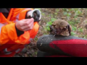 Week on the Network - 12/05/24