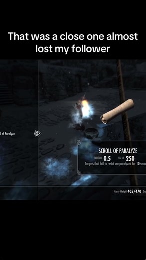 I almost lost my follower in Skyrim #skyrimspecialedition #elderscrolls #skyrim