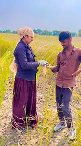 53K views · 1K reactions | Nisha Meena naya video Anguli Kat Gayi Webdriver unofficial event paid Pradhan Meena Ishan Kishan Hare Krishna - हरे कृष्ण European Emergency Number Association EENA 112 K P Sharma Oli Comedy Videos Ara Mina Bc Pøswål Toñk | Pradhan Meena | Facebook