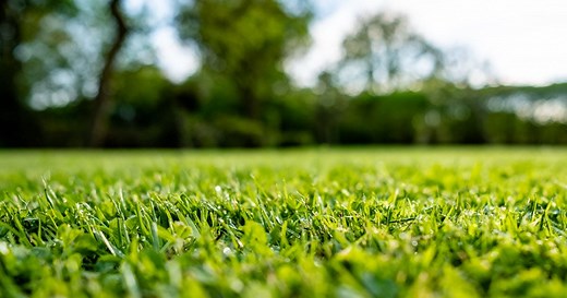 DIY Lawn Care Products (my favorite products & tools for lawn care)