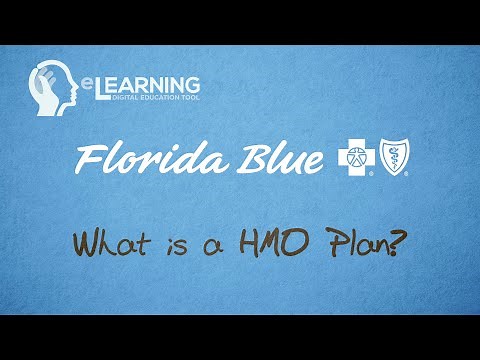 What is a HMO Plan?