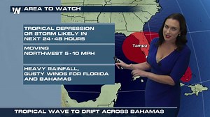 5.8K views · 85 reactions | **TROPICS WATCH** Have questions about...